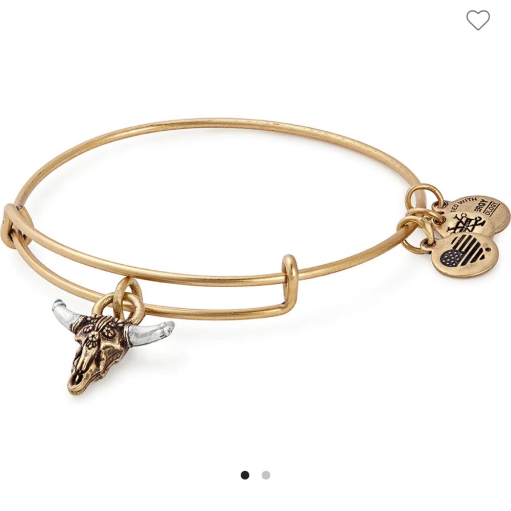 NWT Alex and Ani Spirited Skull Gold Charm Bangle